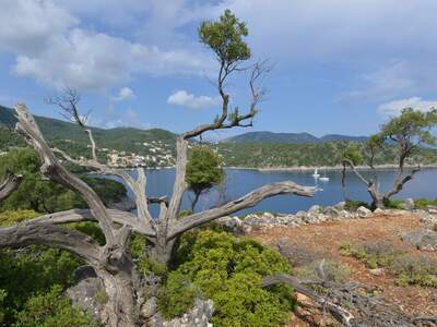 Řecko, Ithaka, Kioni- cesta k mlýnům