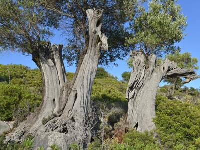 Řecko, Ithaka, Kostelík Ag. Iliias