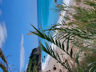 Avali beach 