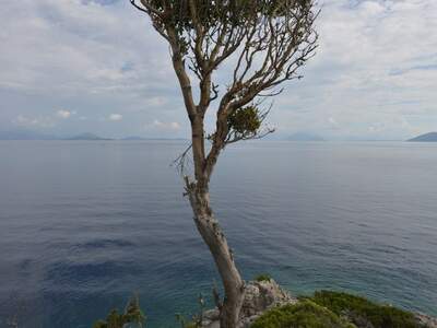 Řecko, Ithaka, Kioni- cesta k mlýnům
