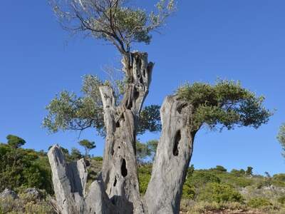 Řecko, Ithaka, Kostelík Ag. Iliias