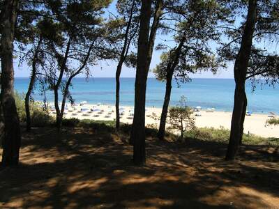 Řecko, Kefalonie, Pláže v letovisku Skala, V centru