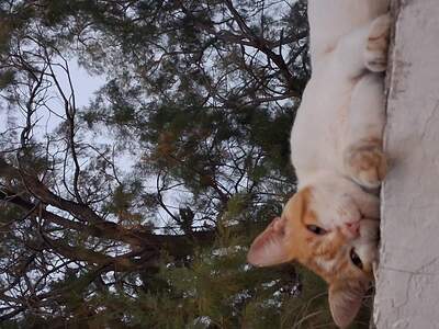 Prostě si tu dovolenou užijte....