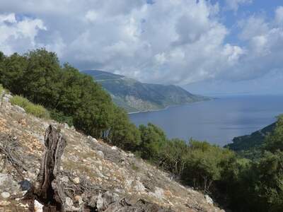 Řecko, Ithaka, Vykopávky Alakomenes