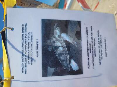 Kythira. Pozor na vejce.