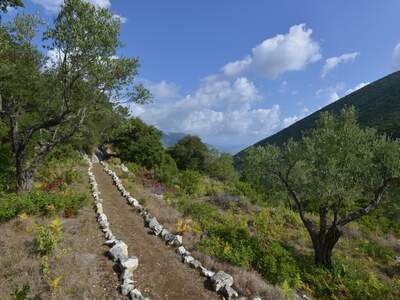 Řecko, Ithaka, Vykopávky Alakomenes