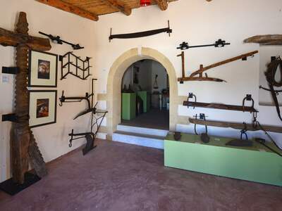 Řecko, Kréta, Nejstarší olivovník