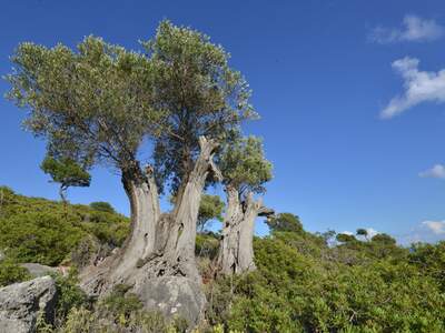 Řecko, Ithaka, Kostelík Ag. Iliias