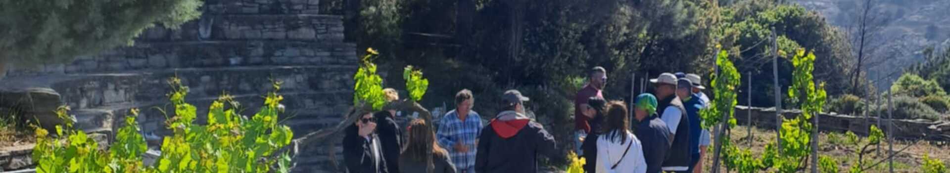 1be838bc-6a83-48a3-8361-51c01beabf18