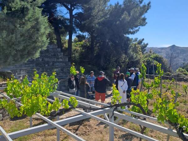 Výlet Wine tour s ochutnávkou vína