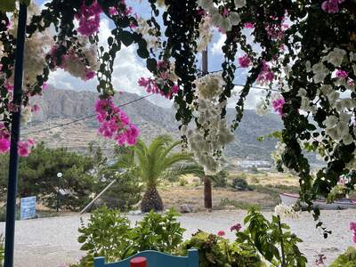 Taverna v Kato Lefkos