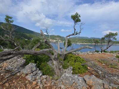 Řecko, Ithaka, Kioni- cesta k mlýnům