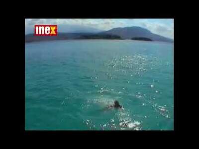 Kréta kraluje Středozemnímu moři, je největším a nejjižnějším řeckým ostrovem. Odděluje Egejské moře od Libyjského a Evropu ...