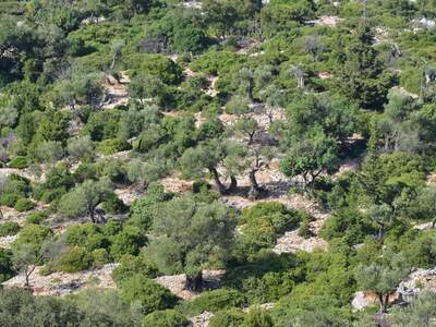 Řecko, Ithaka, Kostelík Ag. Iliias