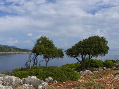 Řecko, Ithaka, Kioni- cesta k mlýnům