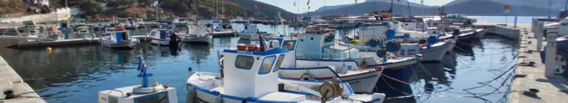 78ccac76-f1ca-451e-ad28-1c5329dee865