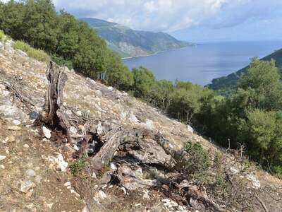 Řecko, Ithaka, Vykopávky Alakomenes