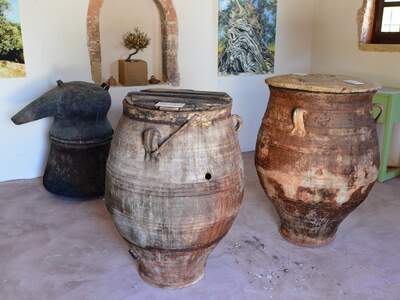 Řecko, Kréta, Nejstarší olivovník