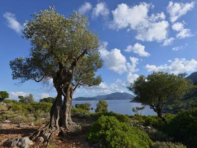 Řecko, Ithaka, Kostelík Ag. Iliias