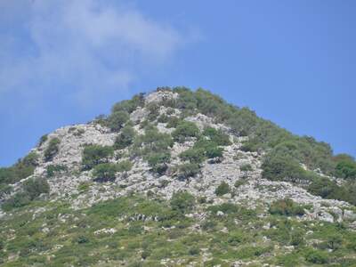 Pláž Vykopávky Alakomenes