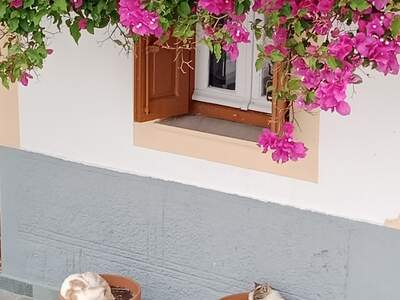 Karpathos-Olympos