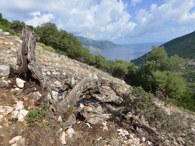 Řecko, Ithaka, Vykopávky Alakomenes