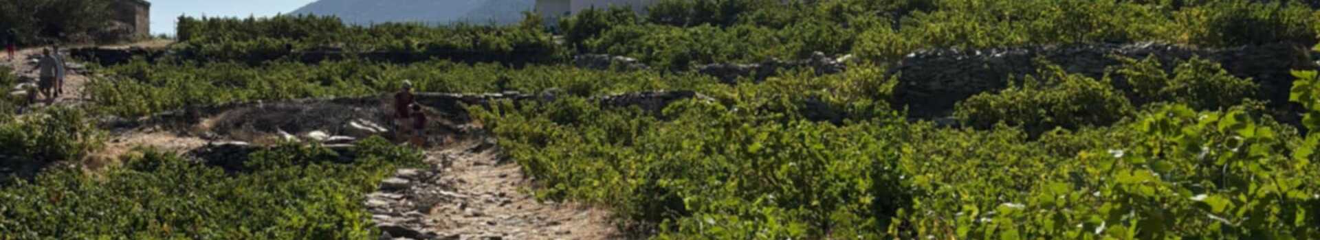 0b1db9a3-d32c-4ecc-9b00-cabb13373d83