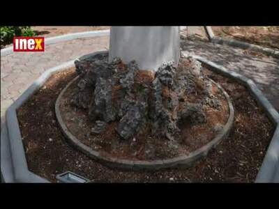 Druhým největším městečkem ostrova je Stavros ležící na kopcích na severu (12km od Kioni). Kromě sochy Odyssea zde najdete ...