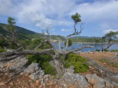 Řecko, Ithaka, Kioni- cesta k mlýnům