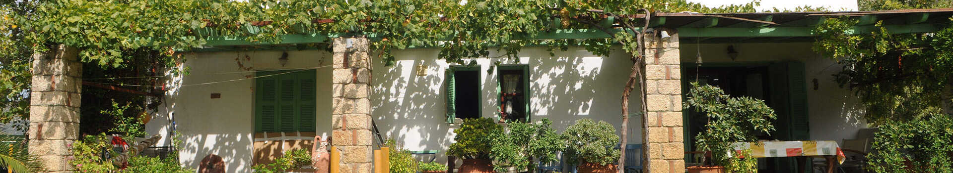 d2163461f137fddc42298f5567f3e59f_x-65