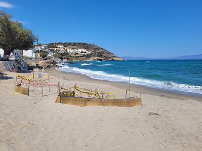 Agia Pelagia, ohrádky pro vejce karety obrovské.