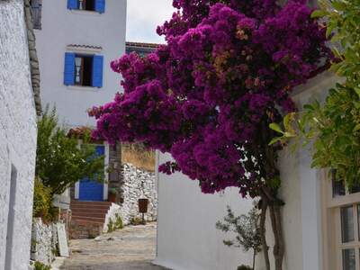 Řecko, Alonissos, Chora