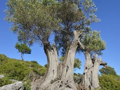 Řecko, Ithaka, Kostelík Ag. Iliias