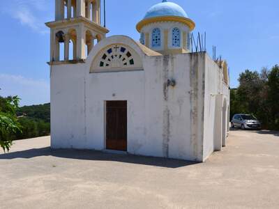 Řecko, Kréta, Nejstarší olivovník