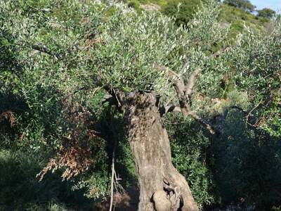 Řecko, Ithaka, Kostelík Ag. Iliias