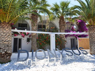 Hotel Dionyssos