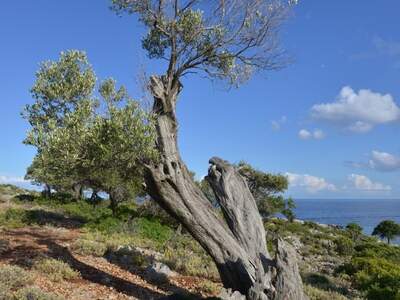 Řecko, Ithaka, Kostelík Ag. Iliias