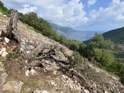 Řecko, Ithaka, Vykopávky Alakomenes