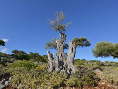 Řecko, Ithaka, Kostelík Ag. Iliias