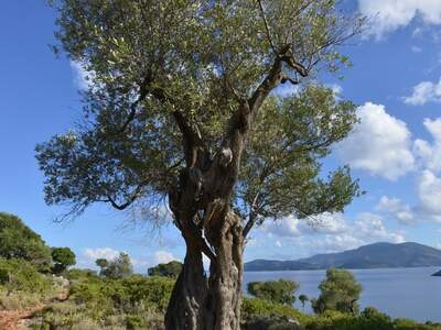 Řecko, Ithaka, Kostelík Ag. Iliias