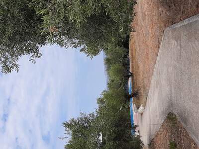 Bazén (lze využívat neomezeně)