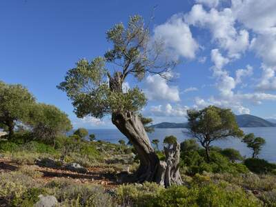 Řecko, Ithaka, Kostelík Ag. Iliias