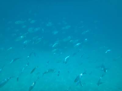 Řecko, Sivota, Pláž Pisina Beach
