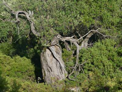 Řecko, Ithaka, Kostelík Ag. Iliias