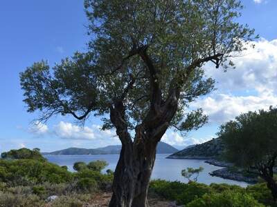 Řecko, Ithaka, Kostelík Ag. Iliias