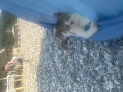 Naše spokojená návštěva 