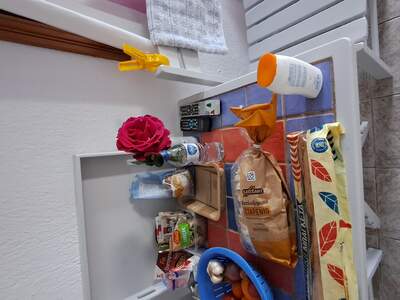 Růže od paní uklízečky