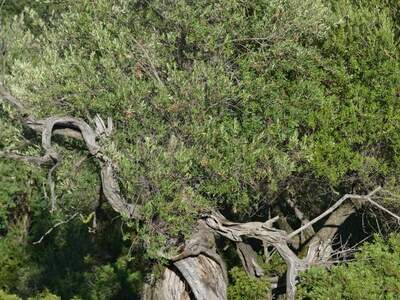 Řecko, Ithaka, Kostelík Ag. Iliias