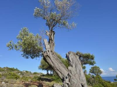 Řecko, Ithaka, Kostelík Ag. Iliias