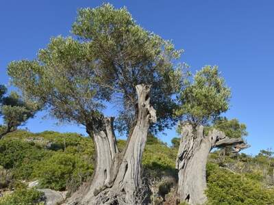 Řecko, Ithaka, Kostelík Ag. Iliias